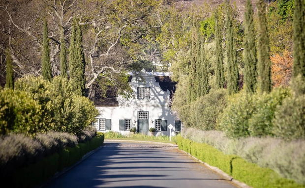 Tree-lined driveway leading to a white Cape Dutch–style house surrounded by greenery