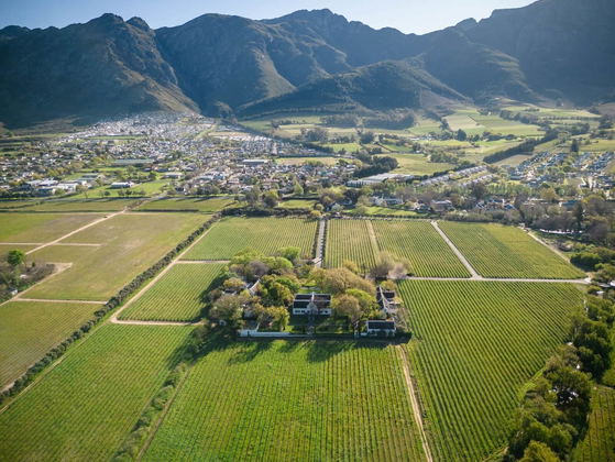 Aerial view of farmland and vineyards with a small town and mountains in the background Aerial view of farmland and vineyards with a small town and mountains in the background