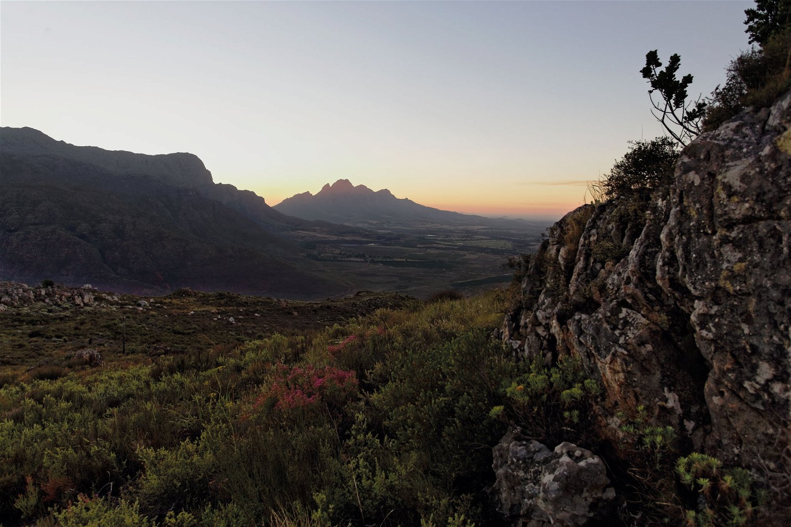 Pinotage Day at Grande Provence Heritage Wine Estate - Grande