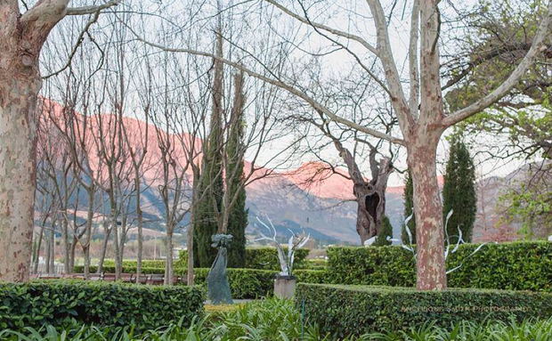 Winter wine tasting at Grande Provence Franschhoek Winter wine tasting at Grande Provence Franschhoek