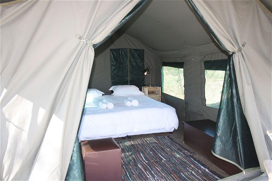Glamping Tents and Camping