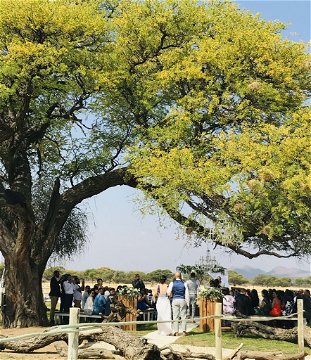Windhoek Garden Wedding Ceremony