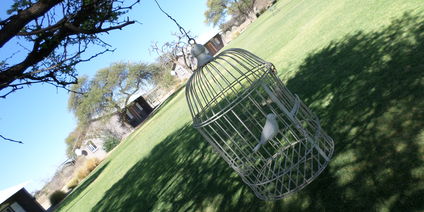 Traveller midweek special 