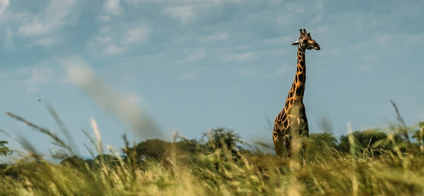 Luxury Tour - Uganda in Style 