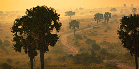 Self Drive - The Explorer