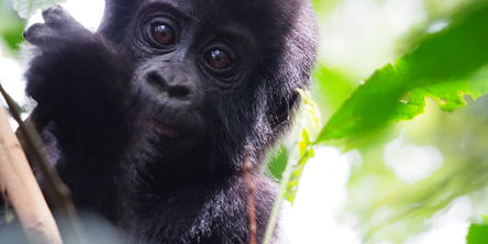 Guest Story: Daniela & Klaus