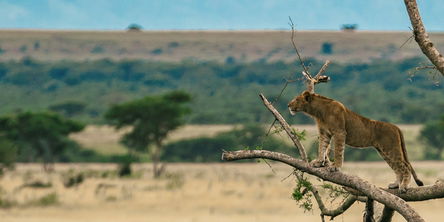 Group Tour - Uganda, the Pearl of Africa