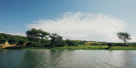 The Sky is the Limit