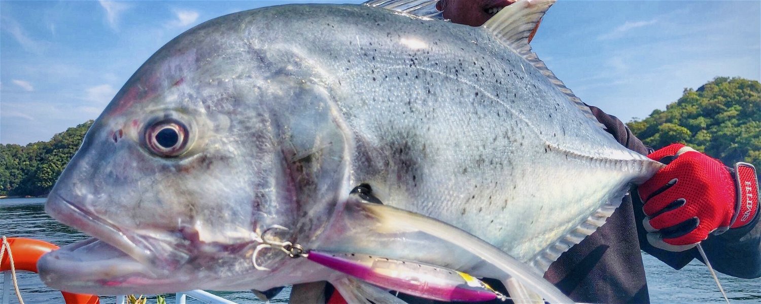 Huge Giant Trevally in Myanmar