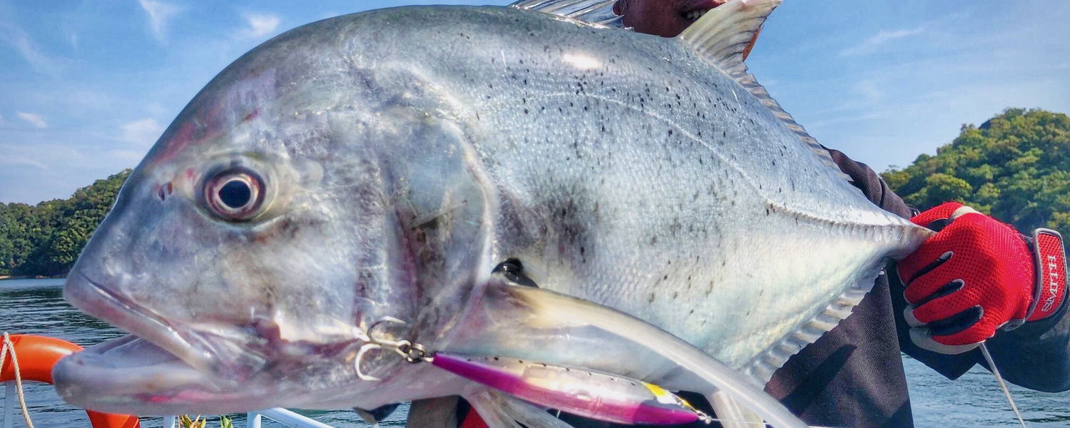 Huge Giant Trevally in Myanmar
