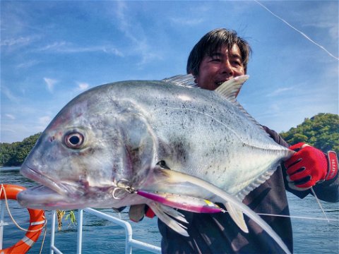 Huge Giant Trevally in Myanmar