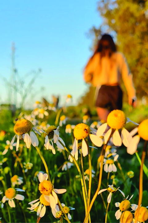 Delighted By Nature