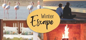 Winter Escape