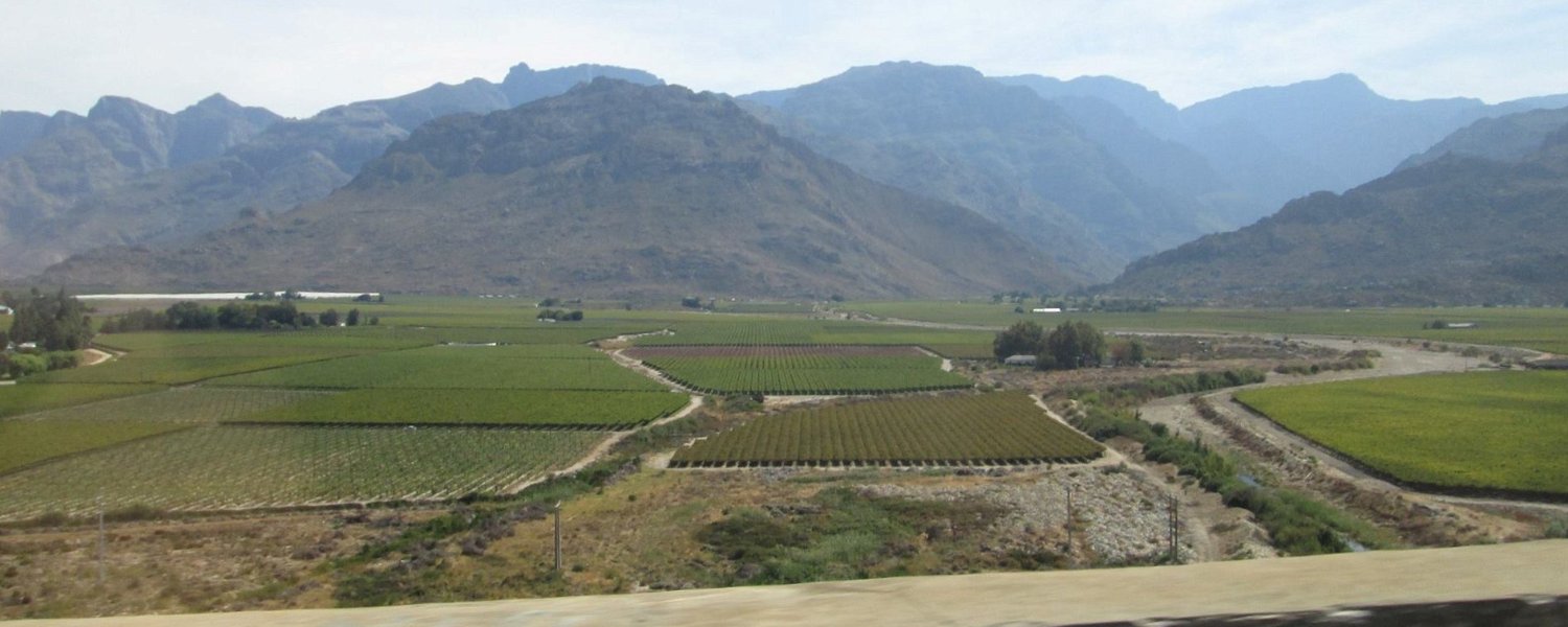 An aerial photo of vineyards and mountains in the Breede Valley