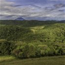 The Forest of Bwindi Impenetrable National Park, Uganda