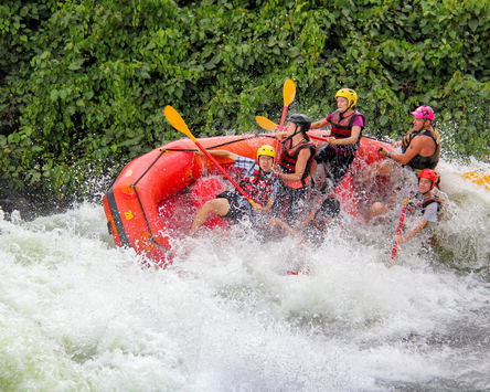 Wild On The Nile!
