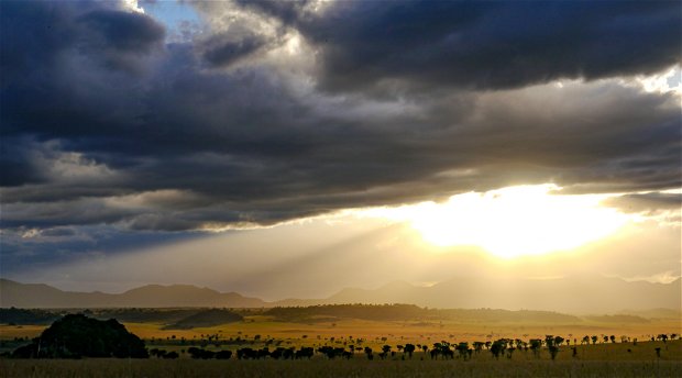 Savannah sunset, Kidepo Valley National Park safari, Uganda