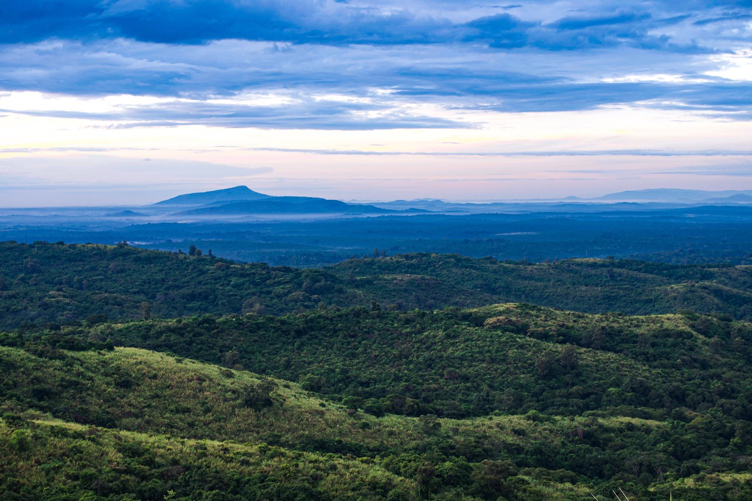 Kibale Chimpanzee Forest National Park Uganda Safari