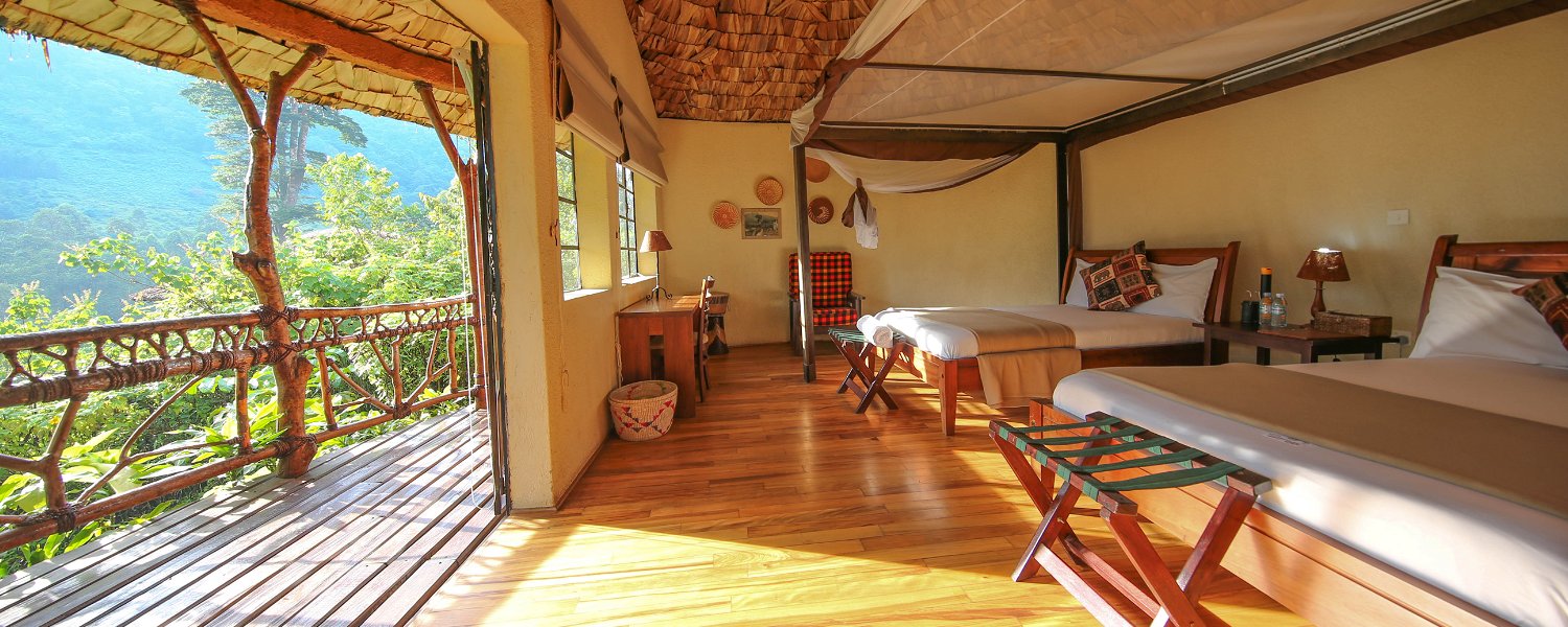 Mahogany Springs room, your base for tracking the gorillas in Bwindi Impenetrable National Park.