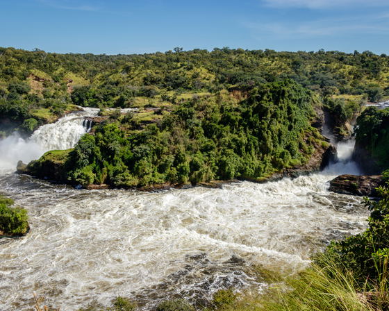 Wild Wonders Uganda