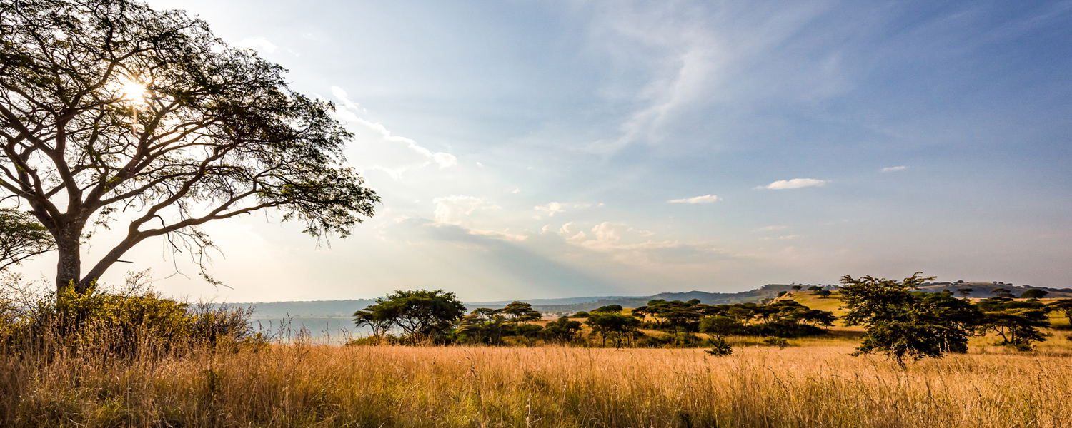 Acacia trees & savannah plains in Queen Elizabeth National Park, Uganda