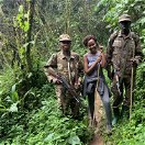 Trekking in the rainforest with Uganda Wildlife Authority rangers.