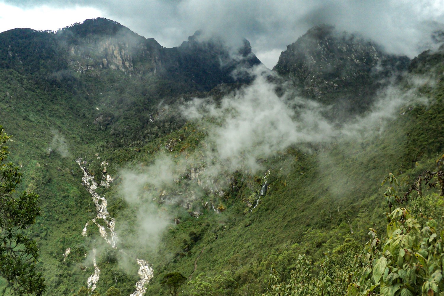 Rwenzori Mountains National Park Uganda