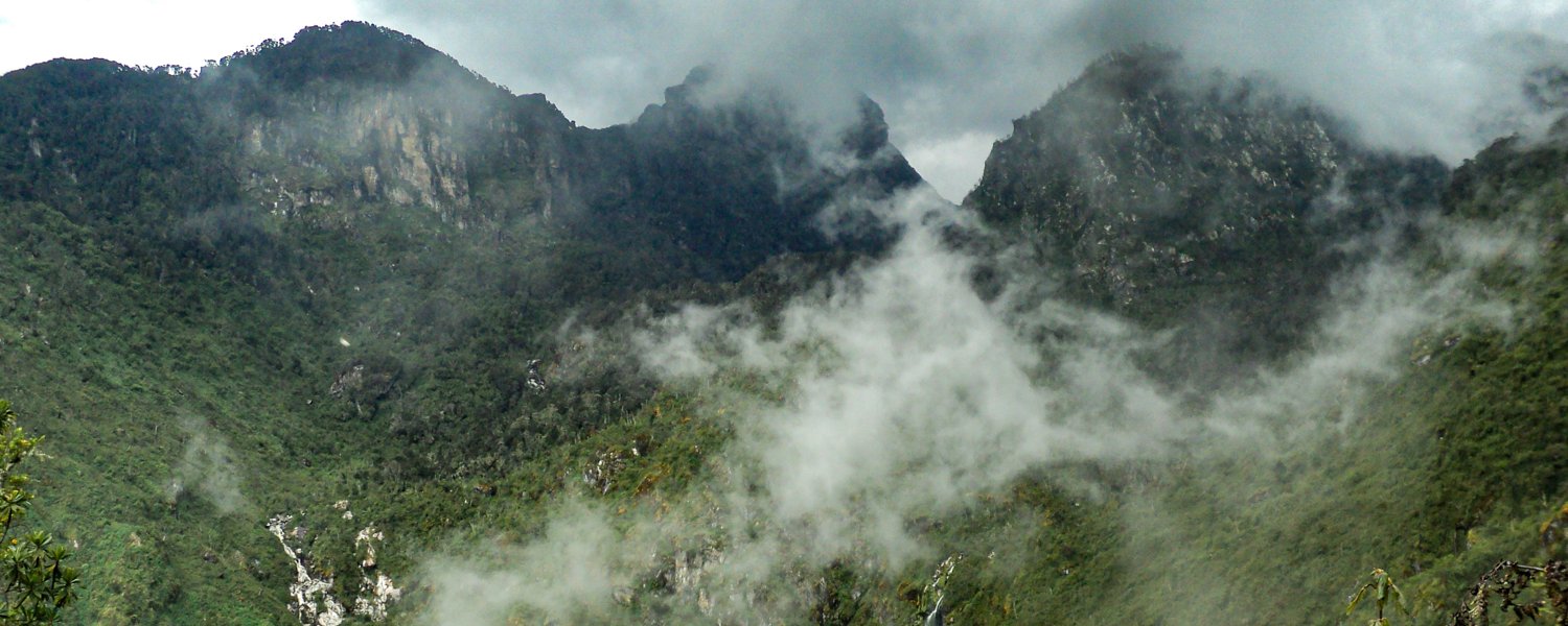 Rwenzori Mountains National Park Uganda