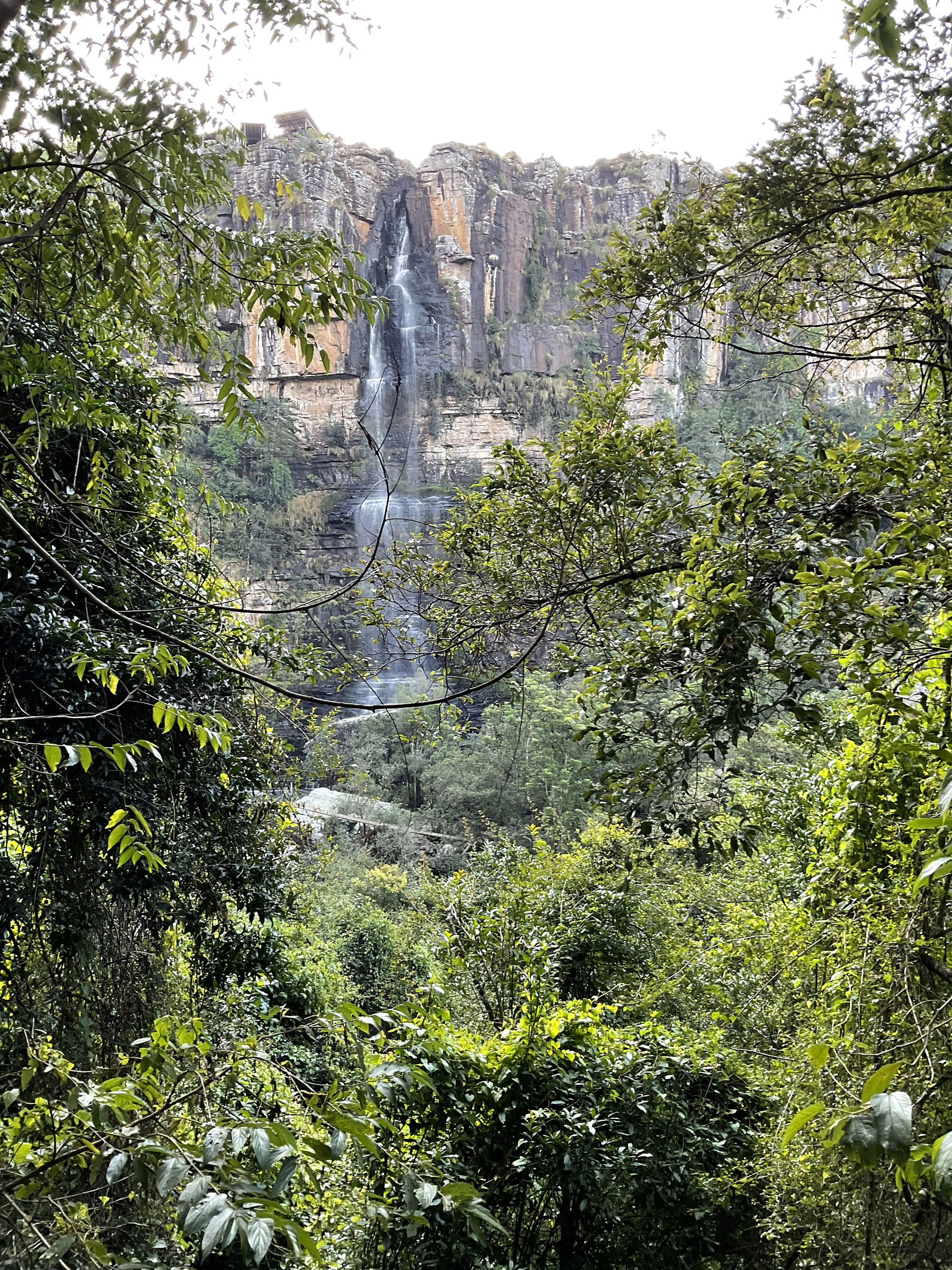 A leisurely drive down Waterfall Lane - Spectacles on the famous