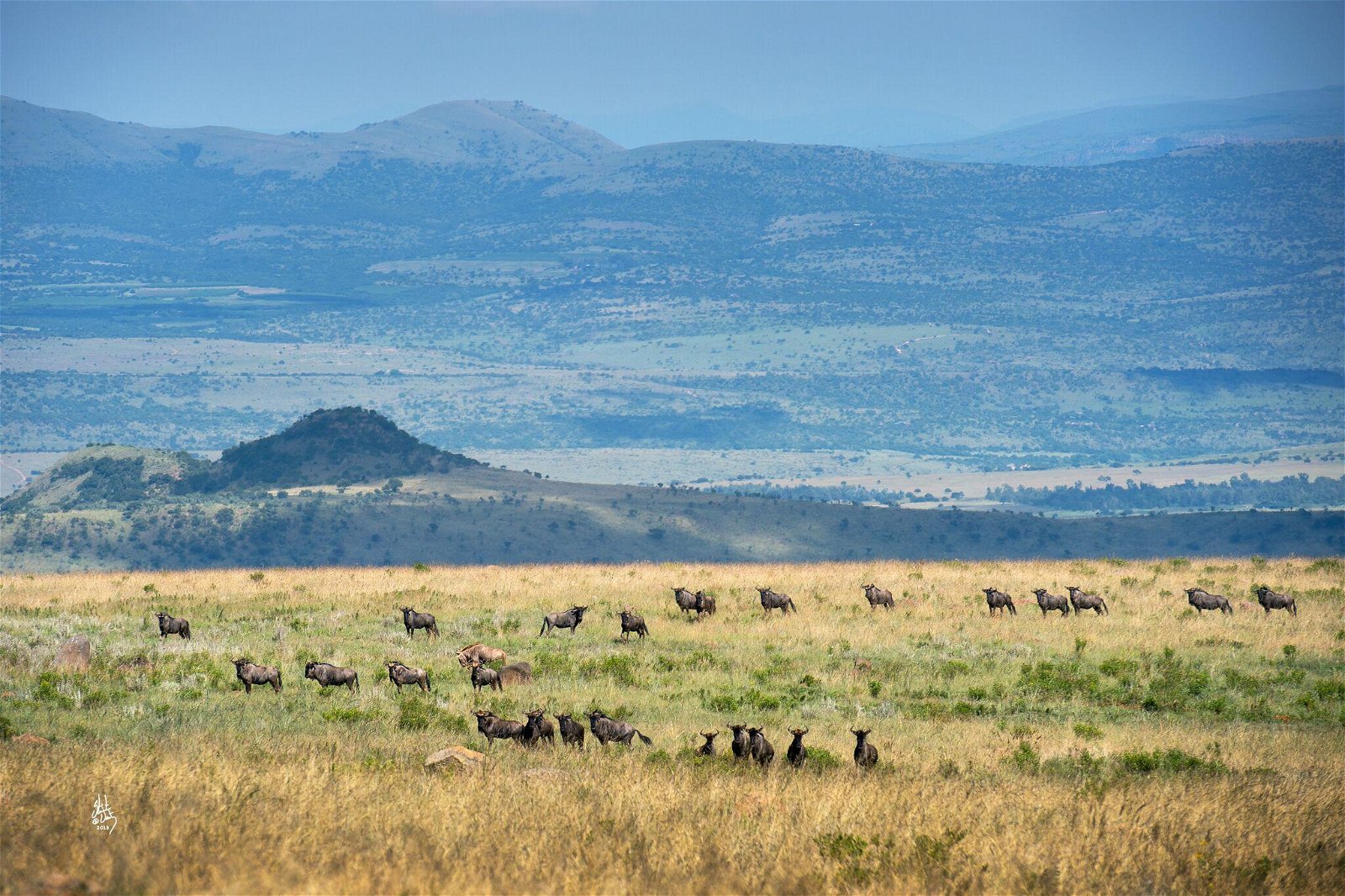 weekend getaway guest house accommodation lydenburg mpumalanga on a game lodge or reserve