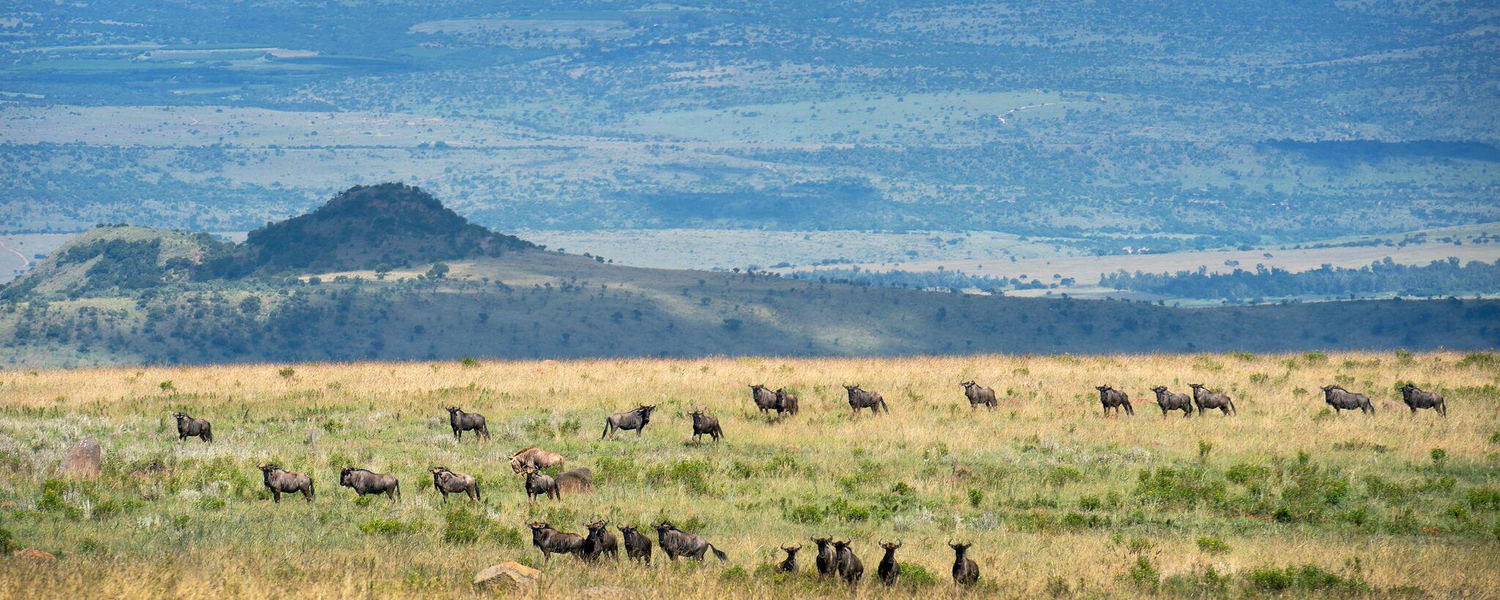 weekend getaway guest house accommodation lydenburg mpumalanga on a game lodge or reserve