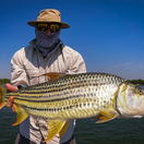 24lbs zambezi tigerfish