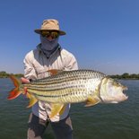 24lbs zambezi tigerfish
