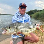 16lbs tigerfish