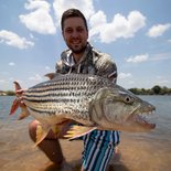 20lbs zambezi tigerfish