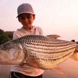 Upper Zambezi fishing