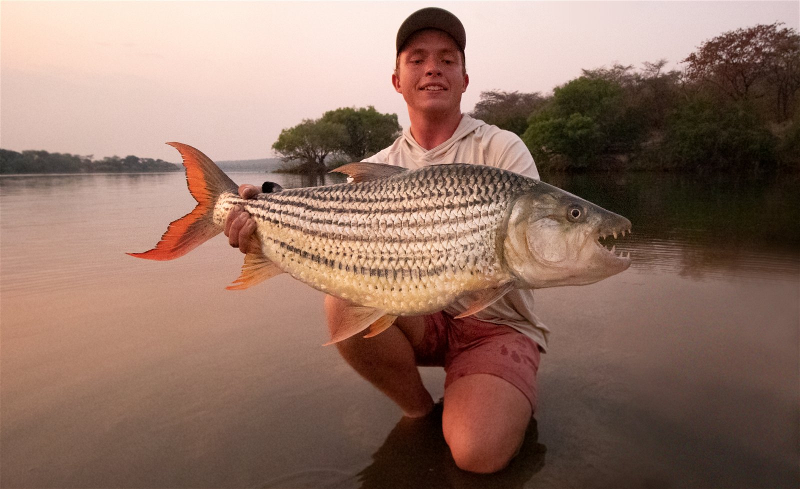 Ngombe Tigerfish Zambezi River