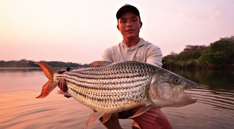 24lbs tigerfish