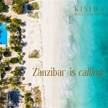 digital marketing success story for zanzibar island tourism 
