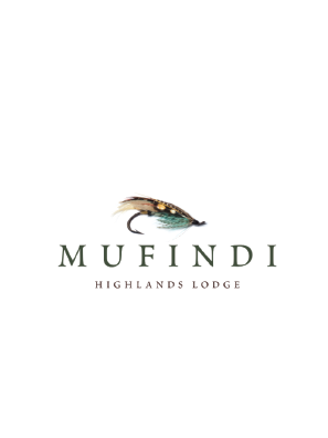 Digital Marketing for Mufindi Highland Lodge, Eco Africa Digital provides strategic brand and business guidance for Tourism Businesses in Africa, these include Guest Houses, Lodges, Safari Lodges, Hotels and B&B’s, Golf Resorts and Island Getaways.