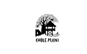 Chole Mjini Treehouse Lodge - Tanzania