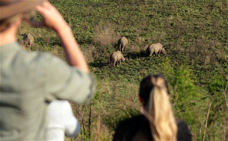 Digital Marketing for Tourism Client Visit | Rhino Ridge Safari Lodge Content Creators | Isibindi Africa Lodges | Eco Africa Digital