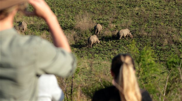 Digital Marketing for Tourism Client Visit | Rhino Ridge Safari Lodge Content Creators | Isibindi Africa Lodges | Eco Africa Digital Digital Marketing for Tourism Client Visit | Rhino Ridge Safari Lodge Content Creators | Isibindi Africa Lodges | Eco Africa Digital