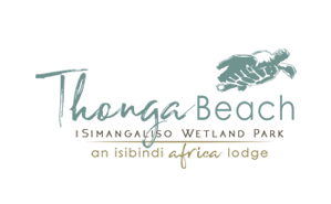 Isibindi Africa Lodges | Luxury Safari Lodges