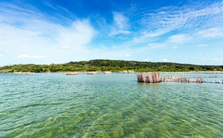 Image by Teagan Cunniffe of the clear water and fish traps at Kosi Forest Lodge, an Isibindi Africa lodge | Eco Africa Digital | Increase ROI with Digital Marketing | Blog 