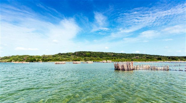 Image by Teagan Cunniffe of the clear water and fish traps at Kosi Forest Lodge, an Isibindi Africa lodge | Eco Africa Digital | Increase ROI with Digital Marketing | Blog 