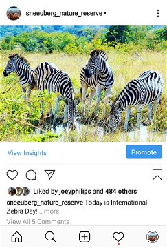 Paid Facebook Ads Post on Instagram, Eco Africa Digital provide Paid Social Media services for Tourism Destinations In Africa, includes  Facebook Ads for Guest Houses, Lodges, Hotels and B&B’s, Golf Resorts and Island Getaways.
