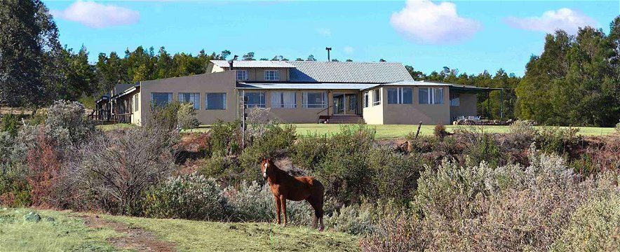 Horse Standing Infront Of The Drakensberg Mountain Retreat Barnhouse