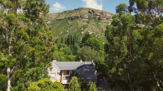 Front of Patcham Place, Clarens