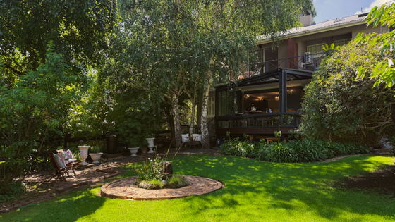 Back Garden of Patcham Place, Clarens